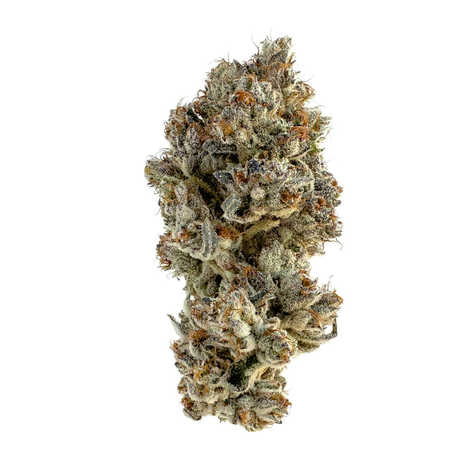 A Golden State - A Golden State | Alpine Sunrise | Big Buds | 3.5g - 1