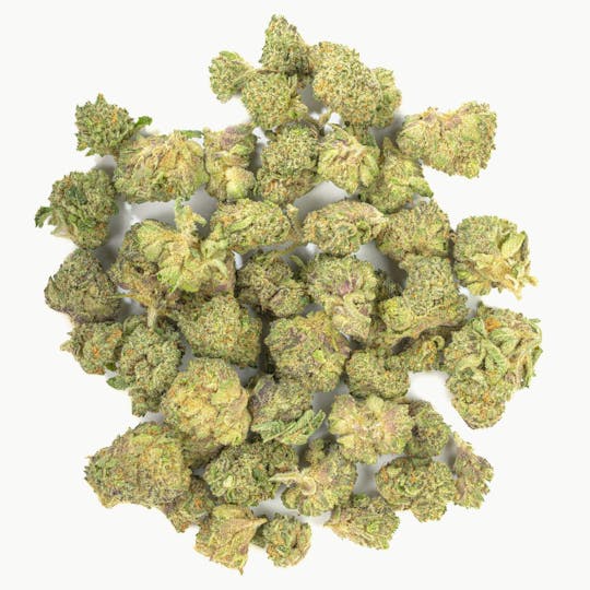 West Coast Cure - Tequila Sunrise - 7G Top Shelf Indoor Smalls - 1