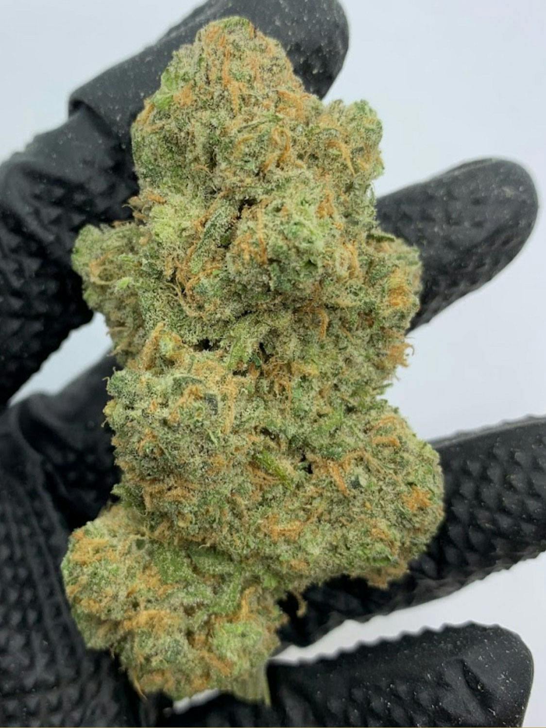 In The Flow - Blue Dream Flower - 1