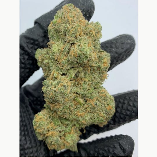 In The Flow - Blue Dream Flower - 1