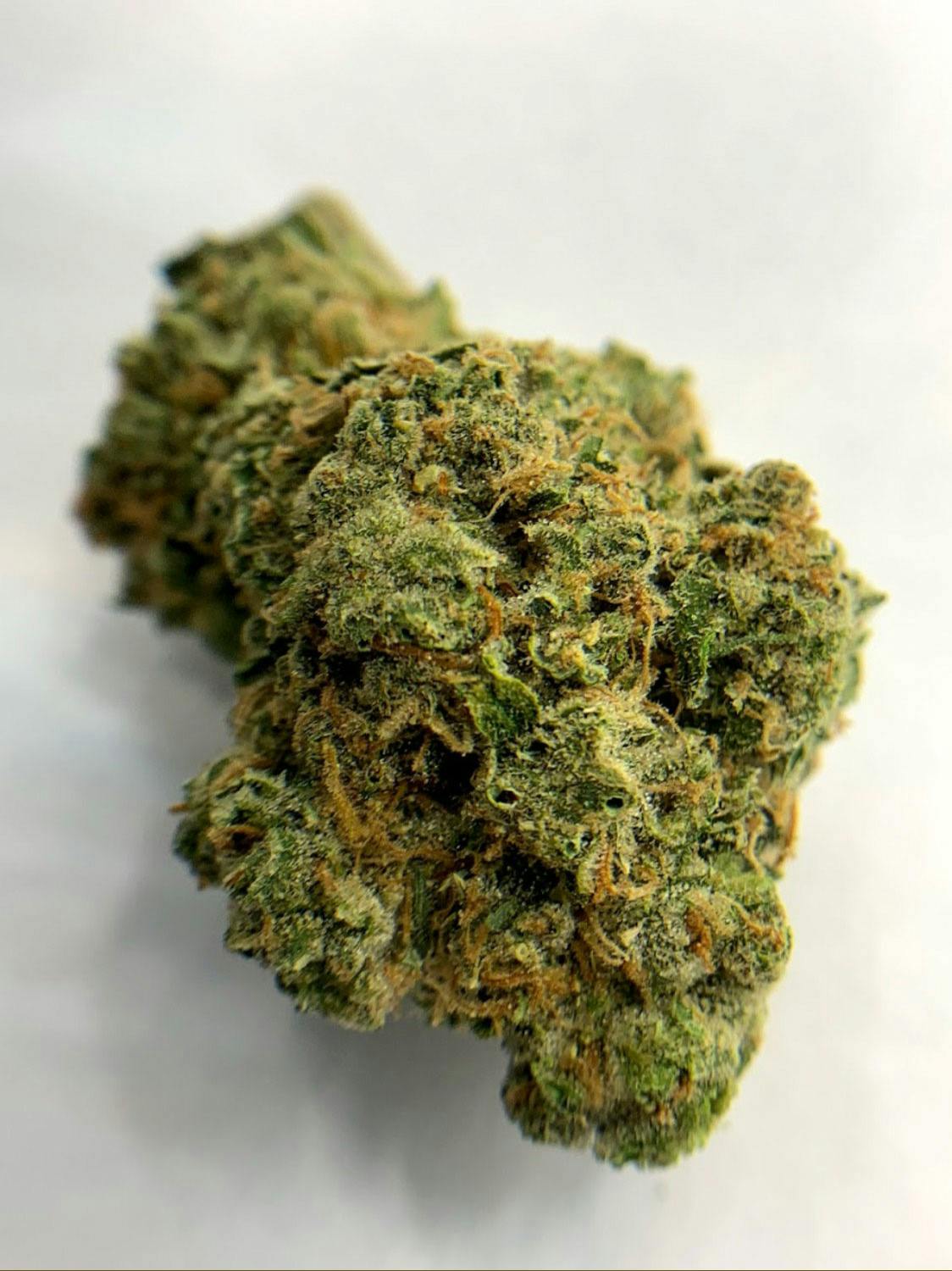 In The Flow - Peach Crescendo Flower - 1