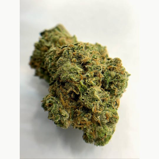 In The Flow - Peach Crescendo Flower - 1