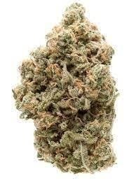 Cannafeen - Cannafeen | Sunset Sorbet | Big Buds - 1