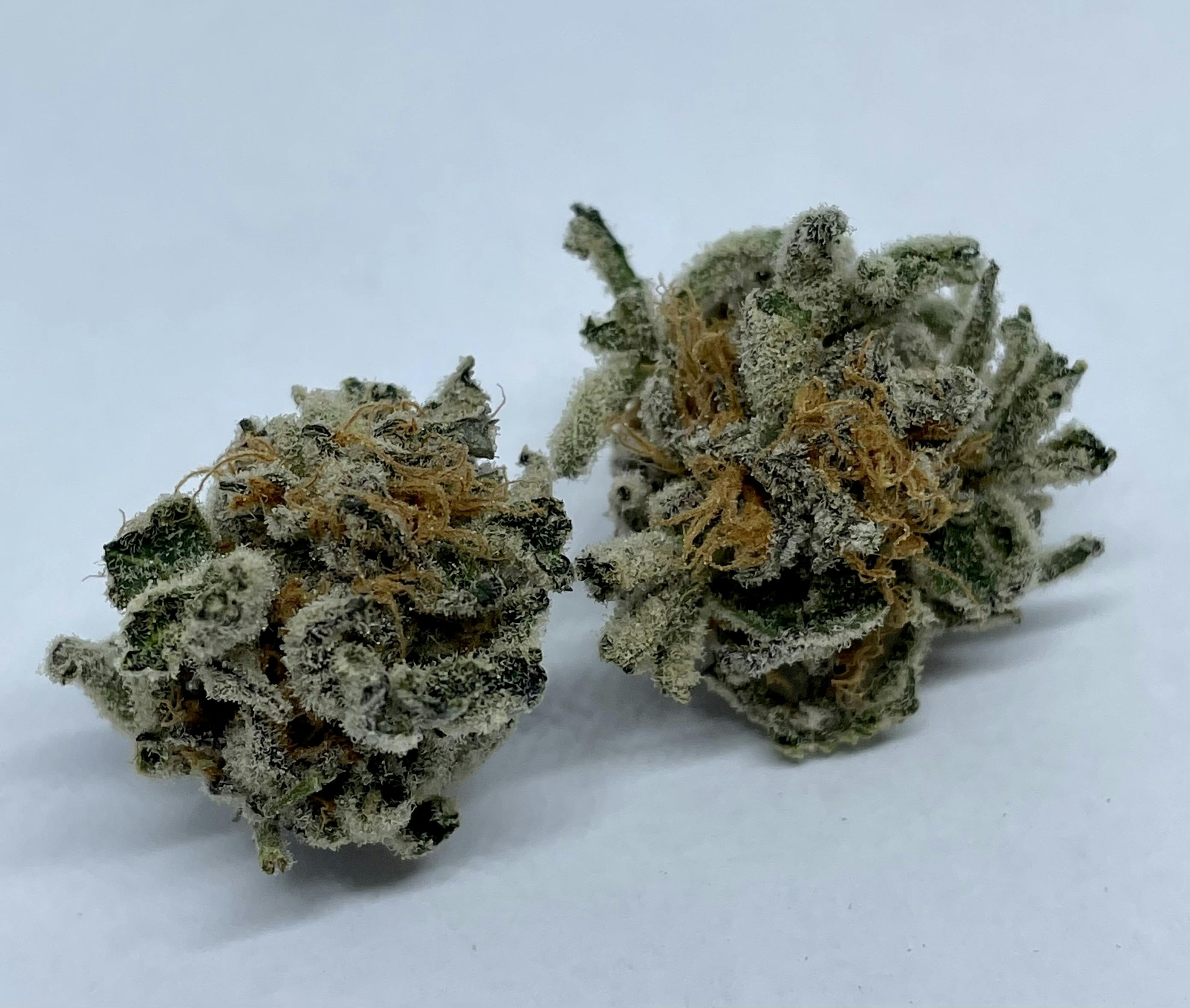 Nature's Miracle - Punch Famer - 1