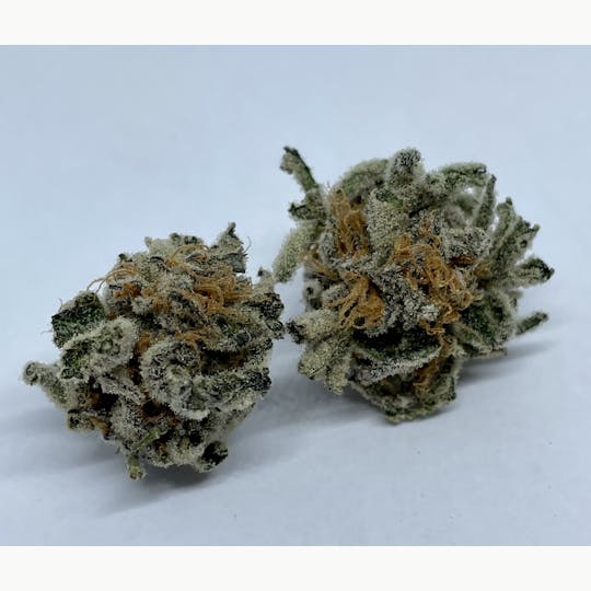 Nature's Miracle - Punch Famer - 1