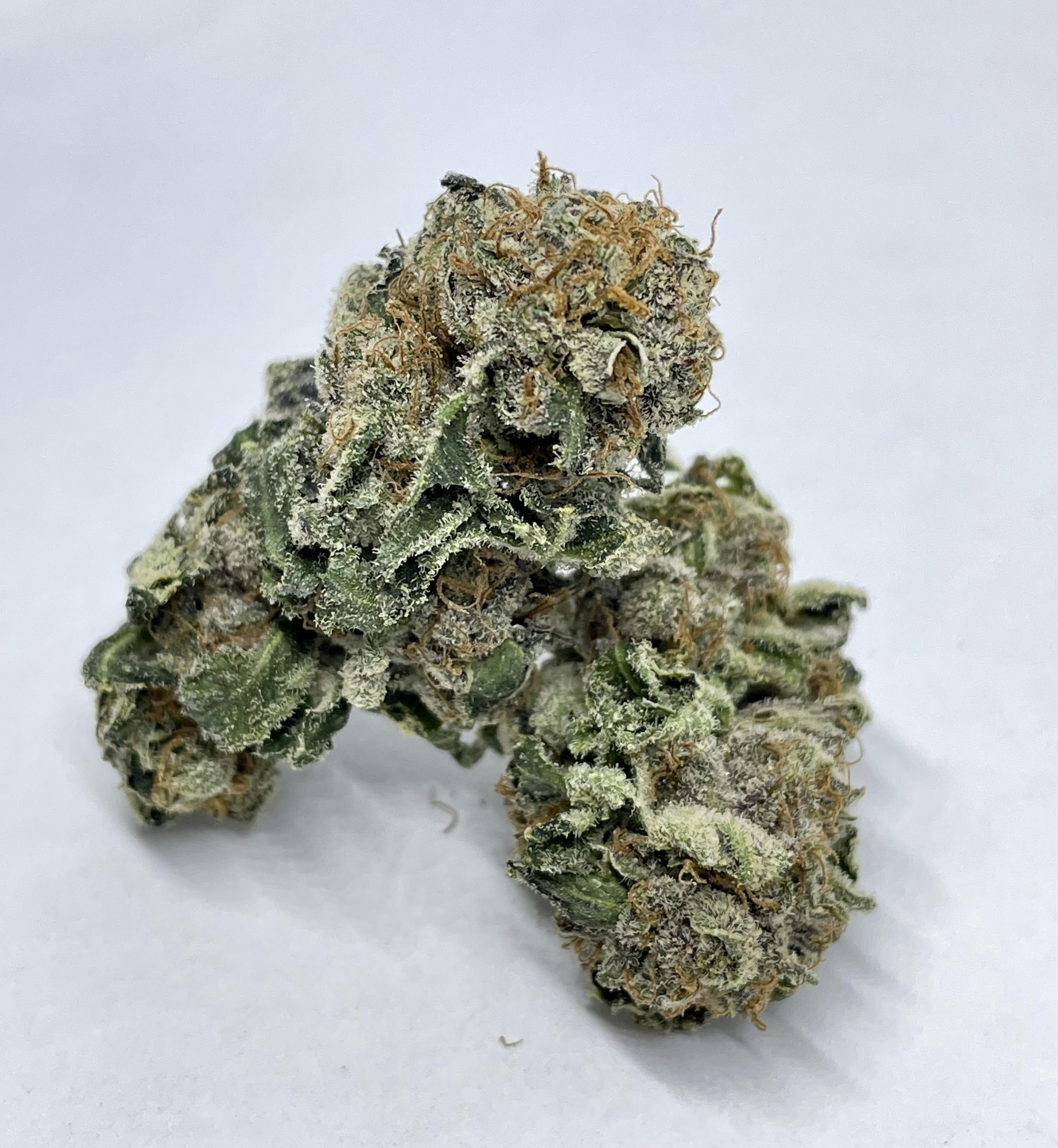 Nature's Miracle - Pure Michigan - 1