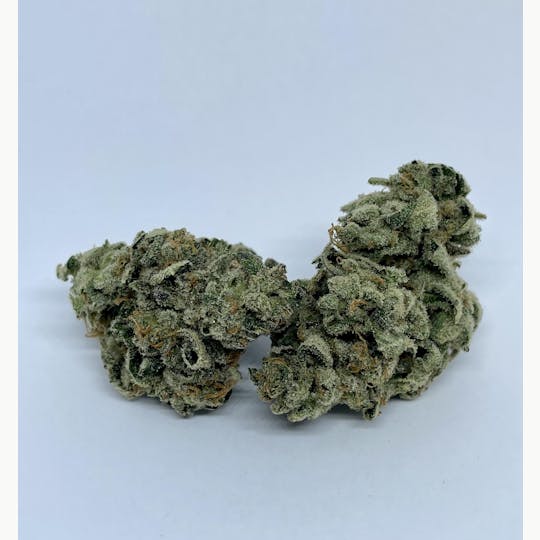 Nature's Miracle - Jack's Blue Dream - 1