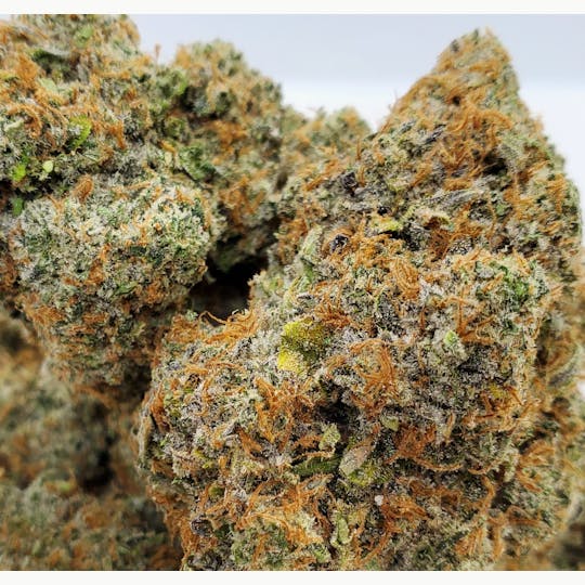 World Class Cannabis - Maui Wowie - 1