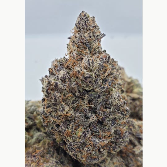 World Class Cannabis - Pineapple Express - 1