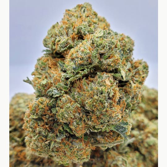 World Class Cannabis - Cookies Kush - 1