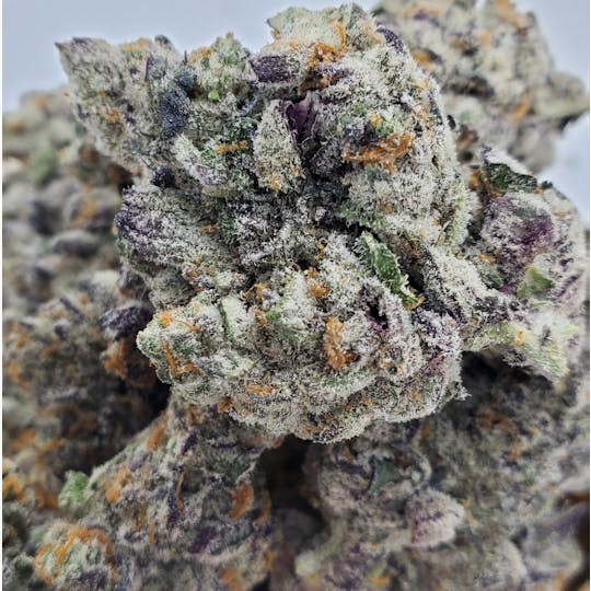 World Class Cannabis - Girl Scout Cookie - 1