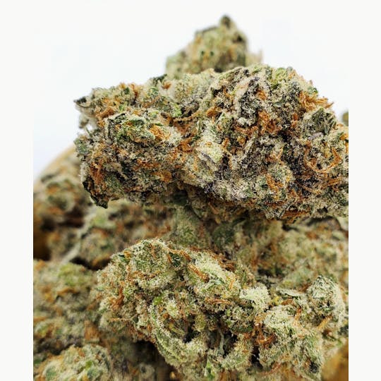 World Class Cannabis - Sour Diesel - 1