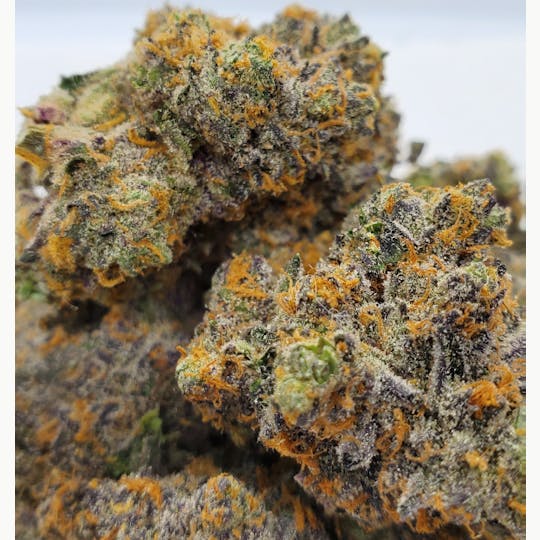 World Class Cannabis - Cookie Monster - 1