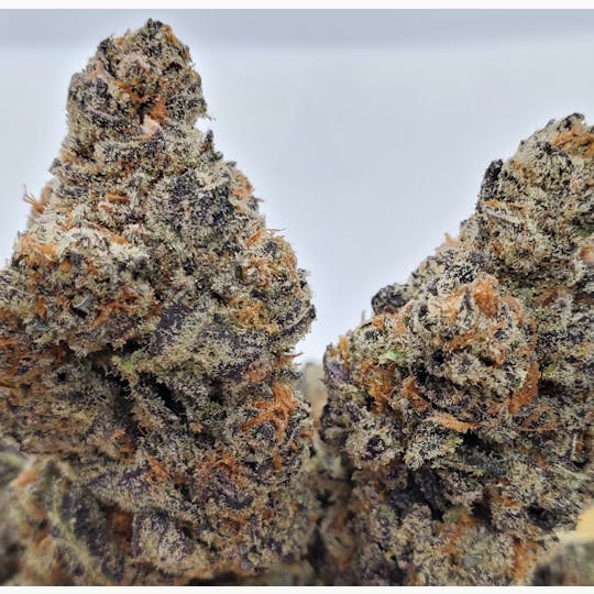 World Class Cannabis - Runtz - 1