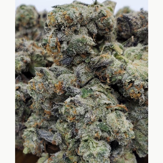 World Class Cannabis - Formula One - 1