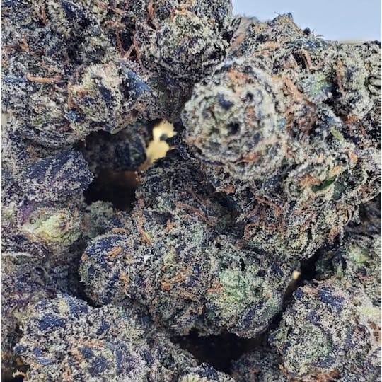 World Class Cannabis - Gelato #33 - 1