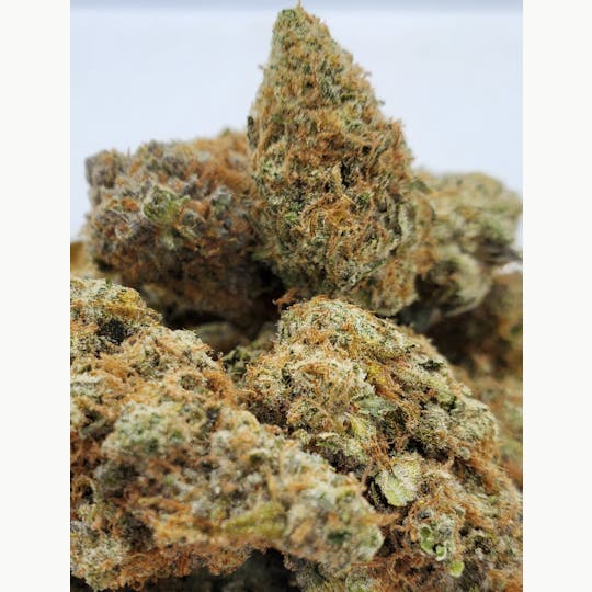 World Class Cannabis - Acapulco Gold - 1