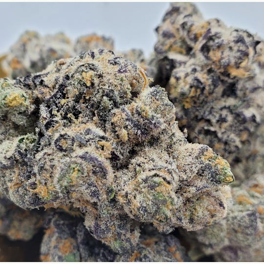World Class Cannabis - Purple Stardawg - 1