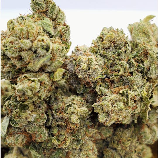 World Class Cannabis - Marathon OG - 1
