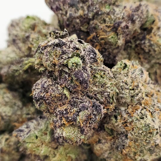 World Class Cannabis - Bubblegum Gelato - 1
