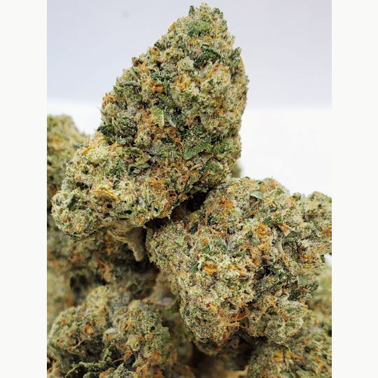 World Class Cannabis - LA OG - 1