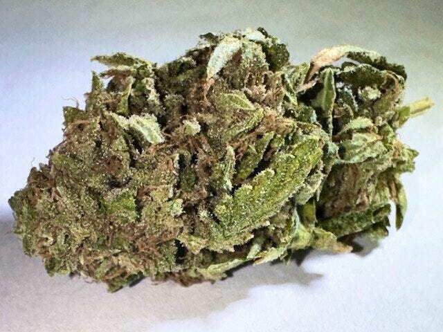 PONO LIFE MAUI - Puro Loco - 1