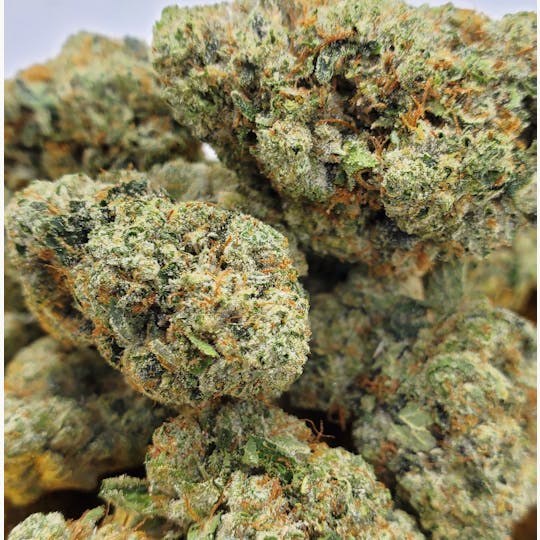 World Class Cannabis - Big Bang - 1