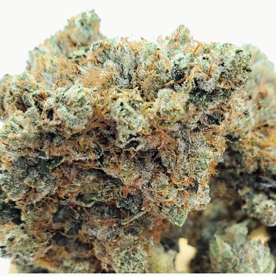 World Class Cannabis - Northern Lights - 1