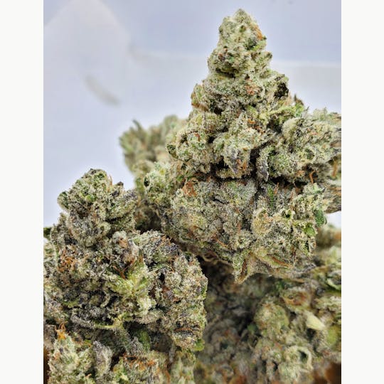 World Class Cannabis - G-Force - 1