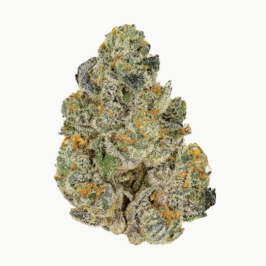 Ember Valley - Gastro Pop 1G Pop Tube - 1