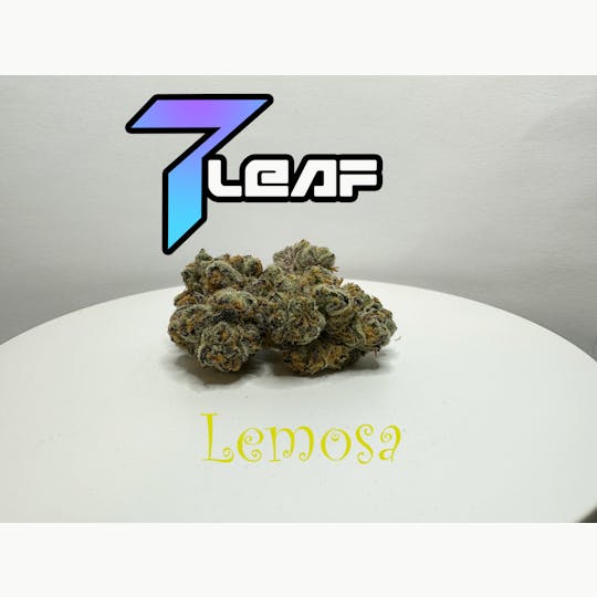 7 Leaf - Lemosa - 1