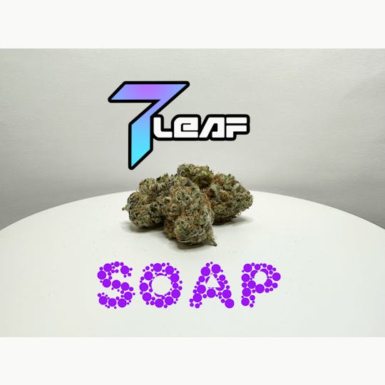 7 Leaf - Soap - 1