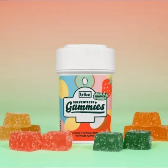 Tribe - Tribe | Sativa | Tropical Solventless Gummies | 726mg | 11ct | 66mg/ea - 1