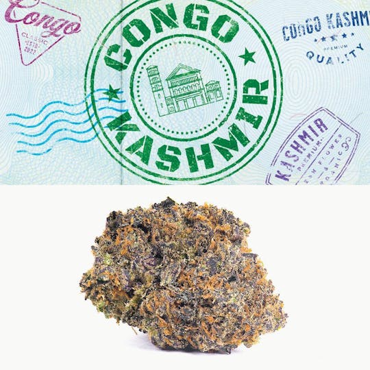 Cookies - Cookies - Congo Kashmir - 1