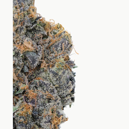 Zero Gravity Cannabis - Flower - Dosidos 70/30 indica Dominant - 1