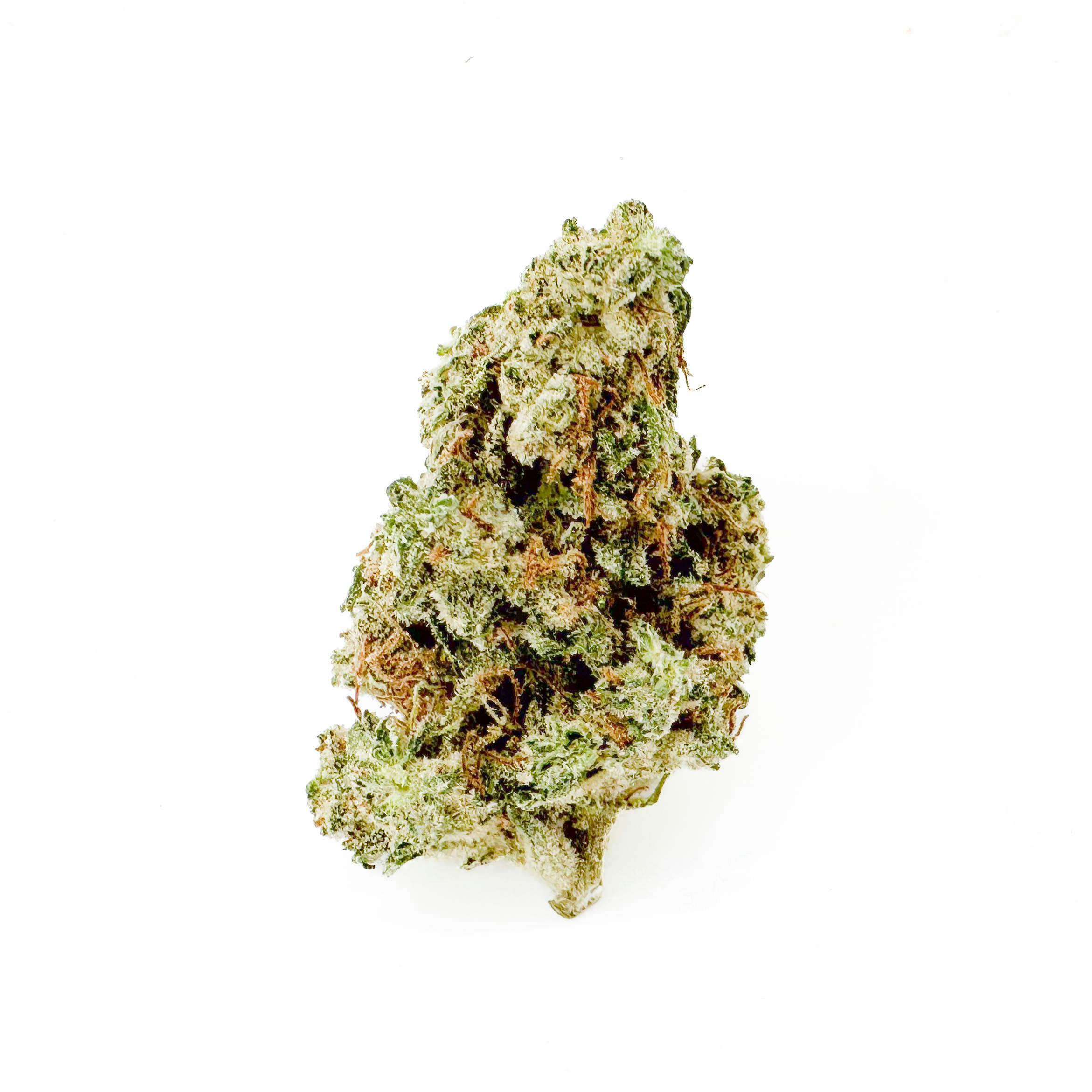 Henry's Original - Pouch Flower - Grape Ape - 1