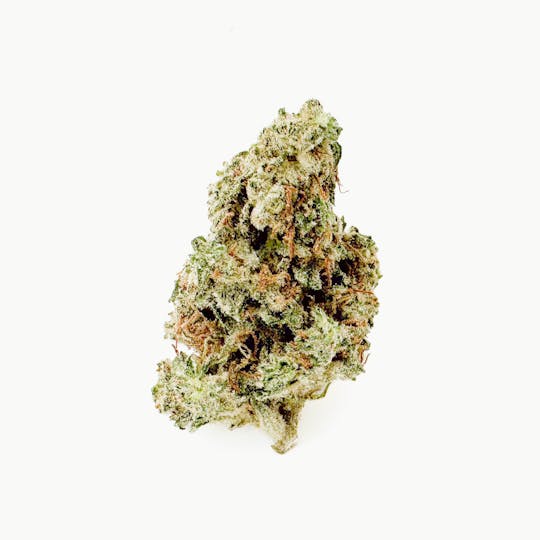 Henry's Original - Pouch Flower - Grape Ape - 1