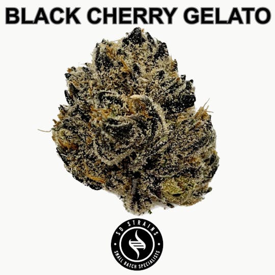 SD STRAINS - SD Strains Black Cherry Gelato 3.5g - 1