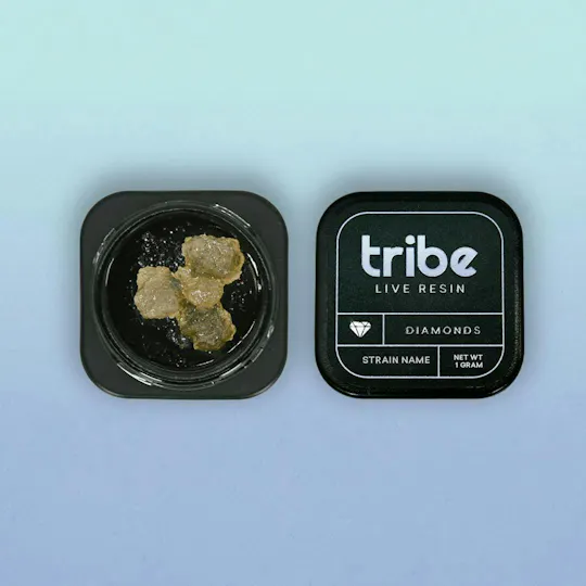 Tribe - Tribe | Georgia Pine | Live Diamonds & Terps | 1g - 1