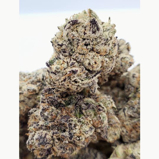 World Class Cannabis - Goji Berry Sherbet - 1