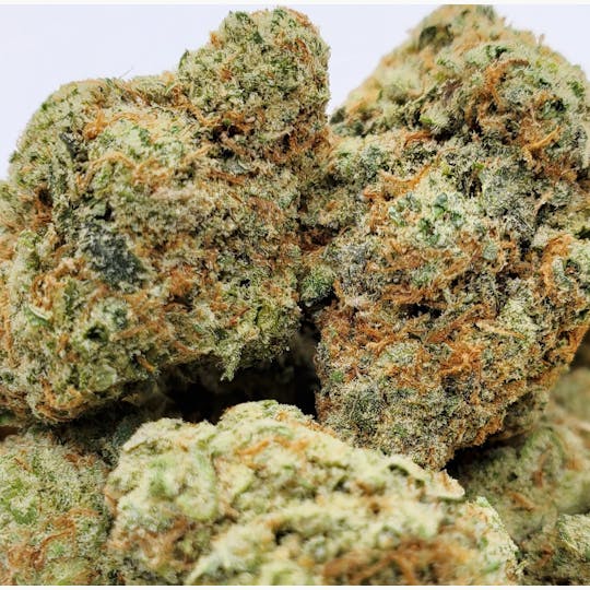 World Class Cannabis - Strawberry Cough - 1