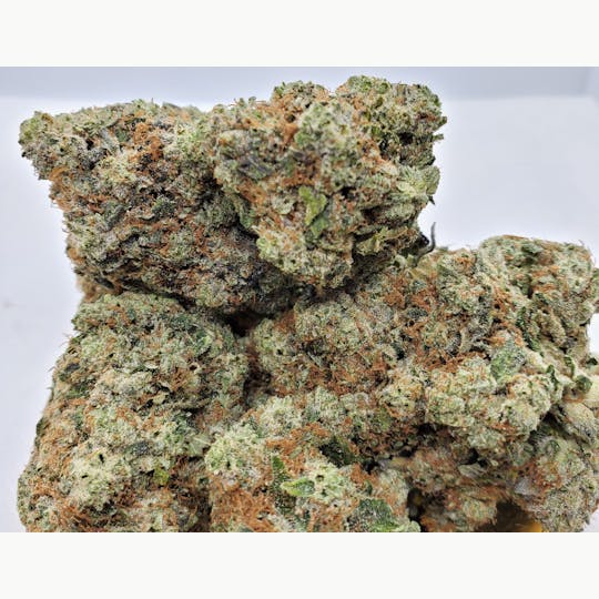 World Class Cannabis - Monster OG - 1