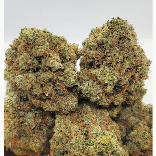 World Class Cannabis - King Louie XIII - 1