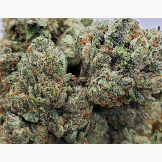 World Class Cannabis - Emerald OG - 1