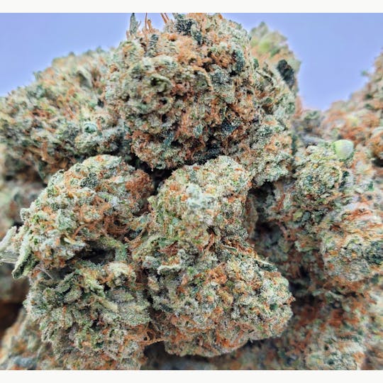 World Class Cannabis - Afghan Kush - 1