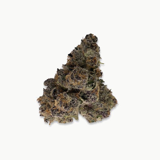 Indico - Sherb'n'Runtz- Bungludetch Farms - 1