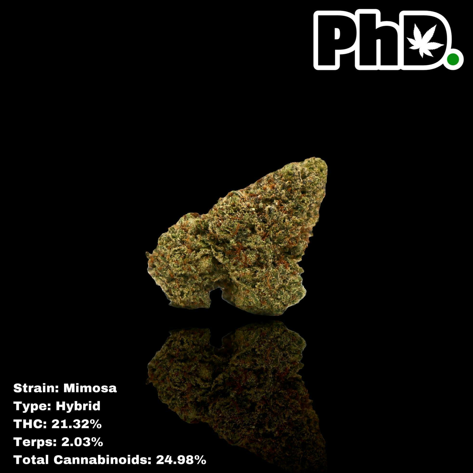 Pharmicated - PhD Indoor Flower - Mimosa - 1