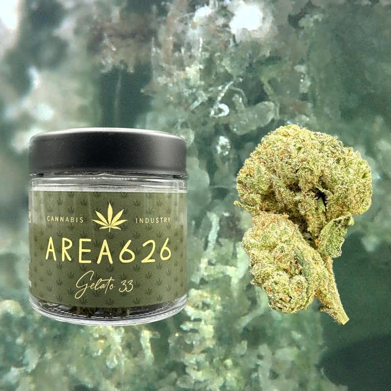 AREA 626 - Area 626 | Gelato #33 | Big Buds | 3.5g - 1