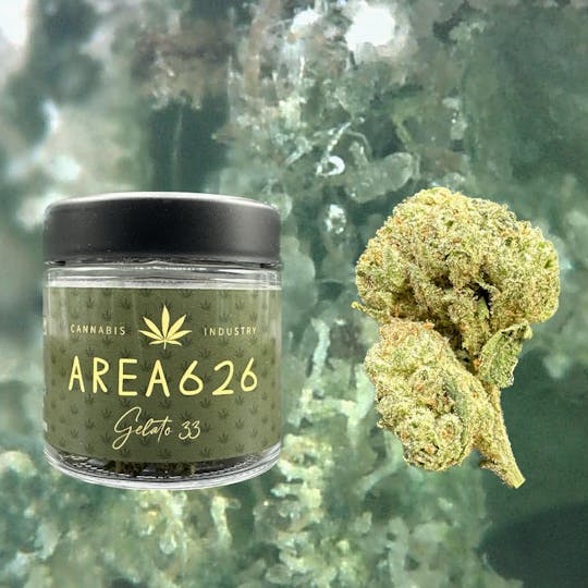 AREA 626 - Gelato #33 28g - 1