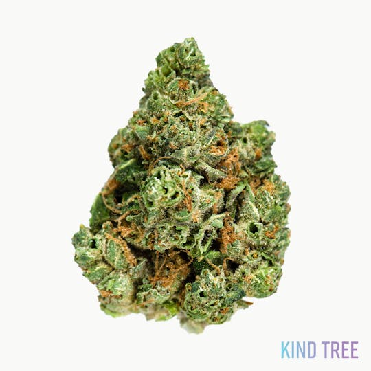 Kind Tree - Alpine OG - 1